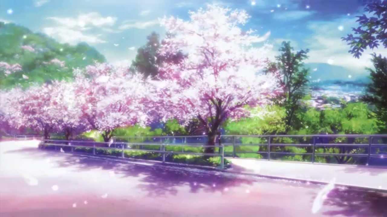 Anime Sakura Trees HD Wallpaper
