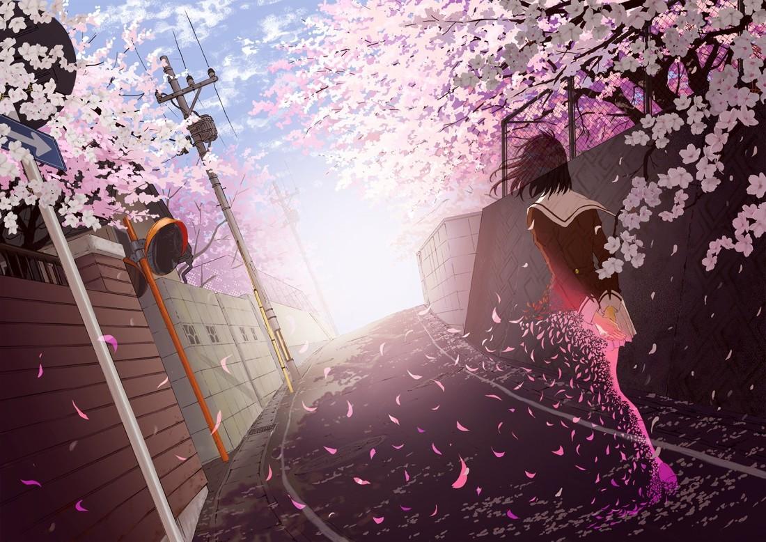 anime Girls, School Uniform, Cherry Blossom Wallpaper HD