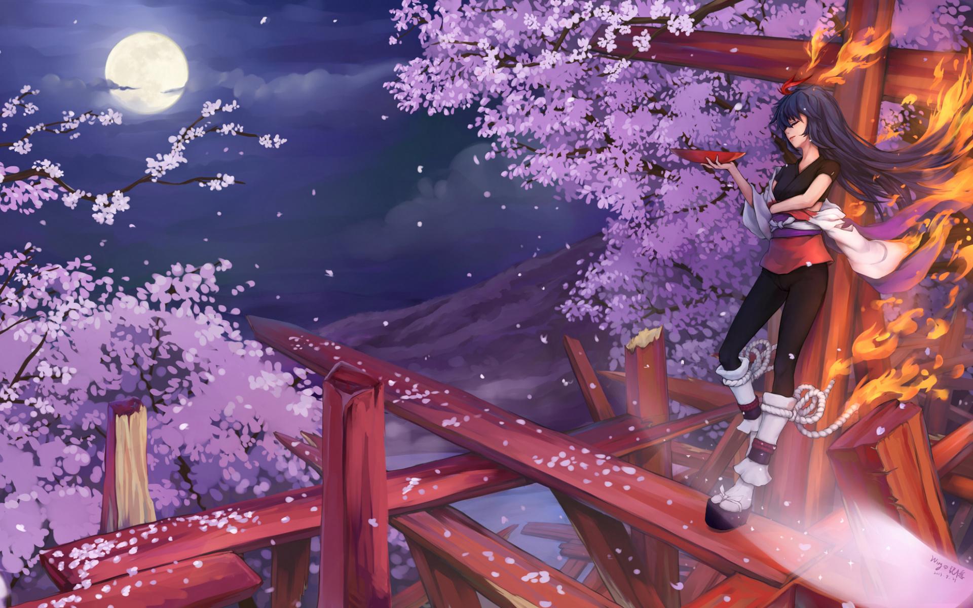 Violet, Plant, Flower, Japan, Cherry Blossom Wallpaper Blossom Japan Anime Wallpaper & Background Download
