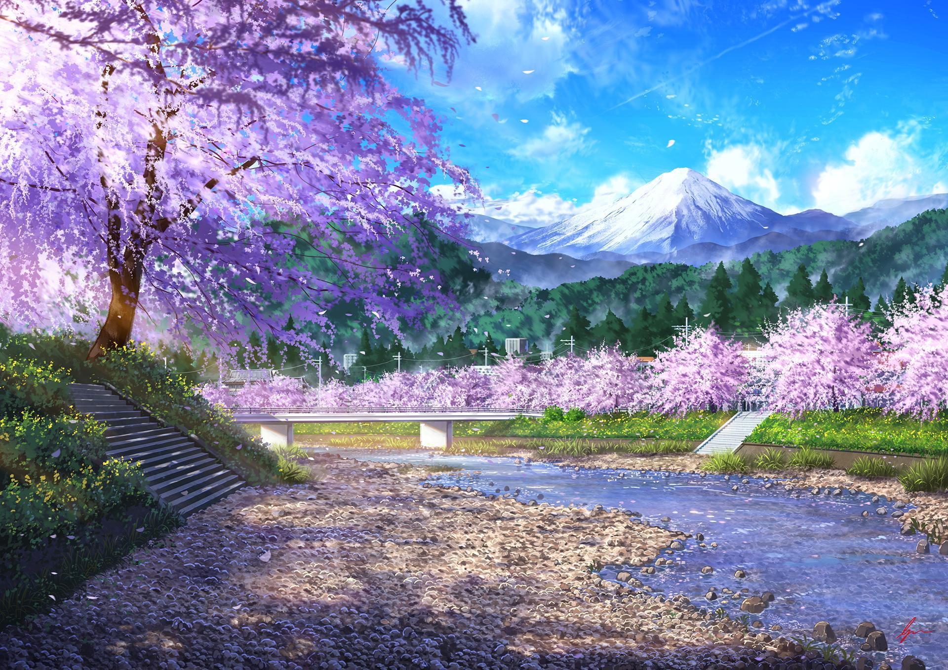 River, Cherry Blossom wallpaper and background. Anime