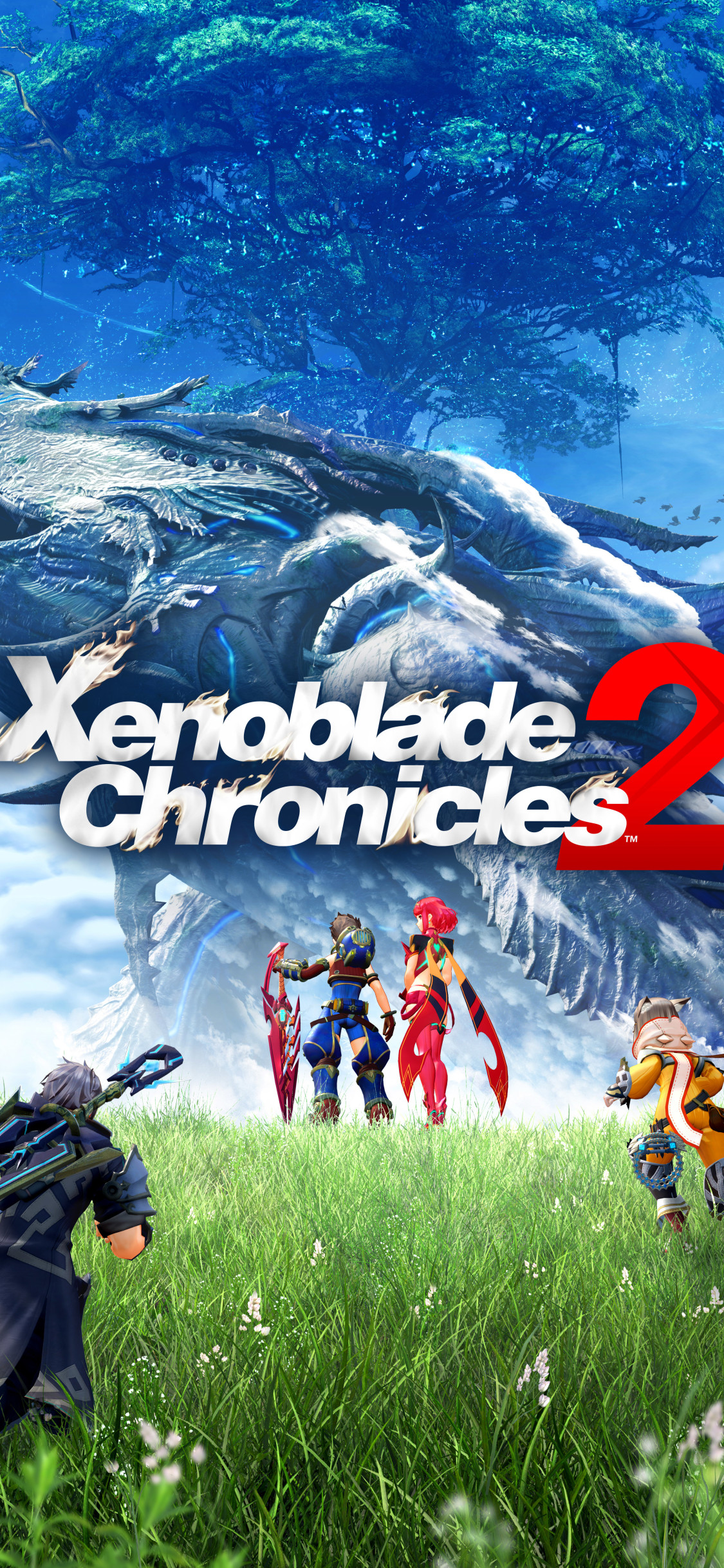 Xenoblade Chronicles 2 iPhone XS, iPhone iPhone X HD 4k Wallpaper, Image, Background, Photo and Picture