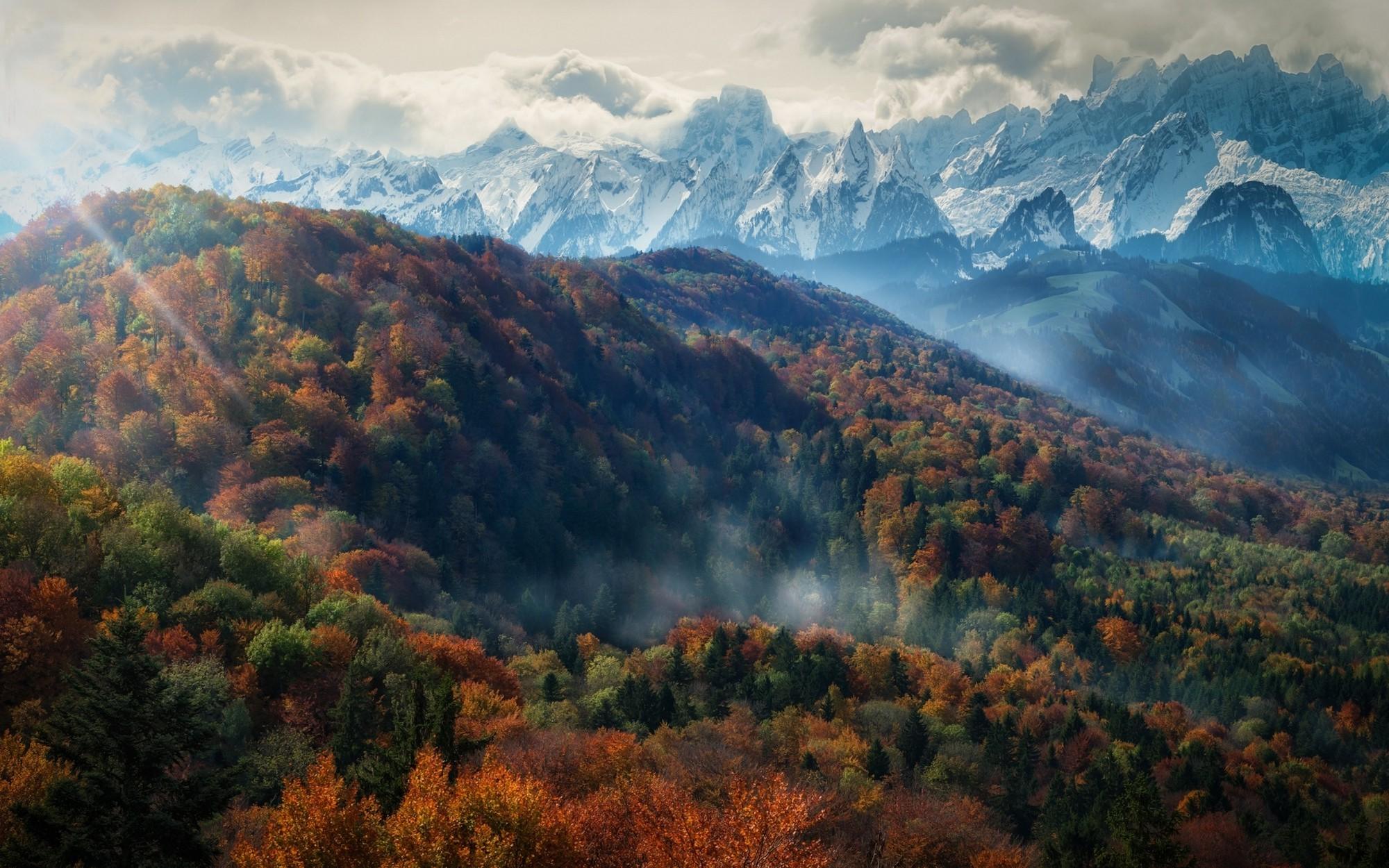 nature landscape mountain forest fall mist trees alps snowy