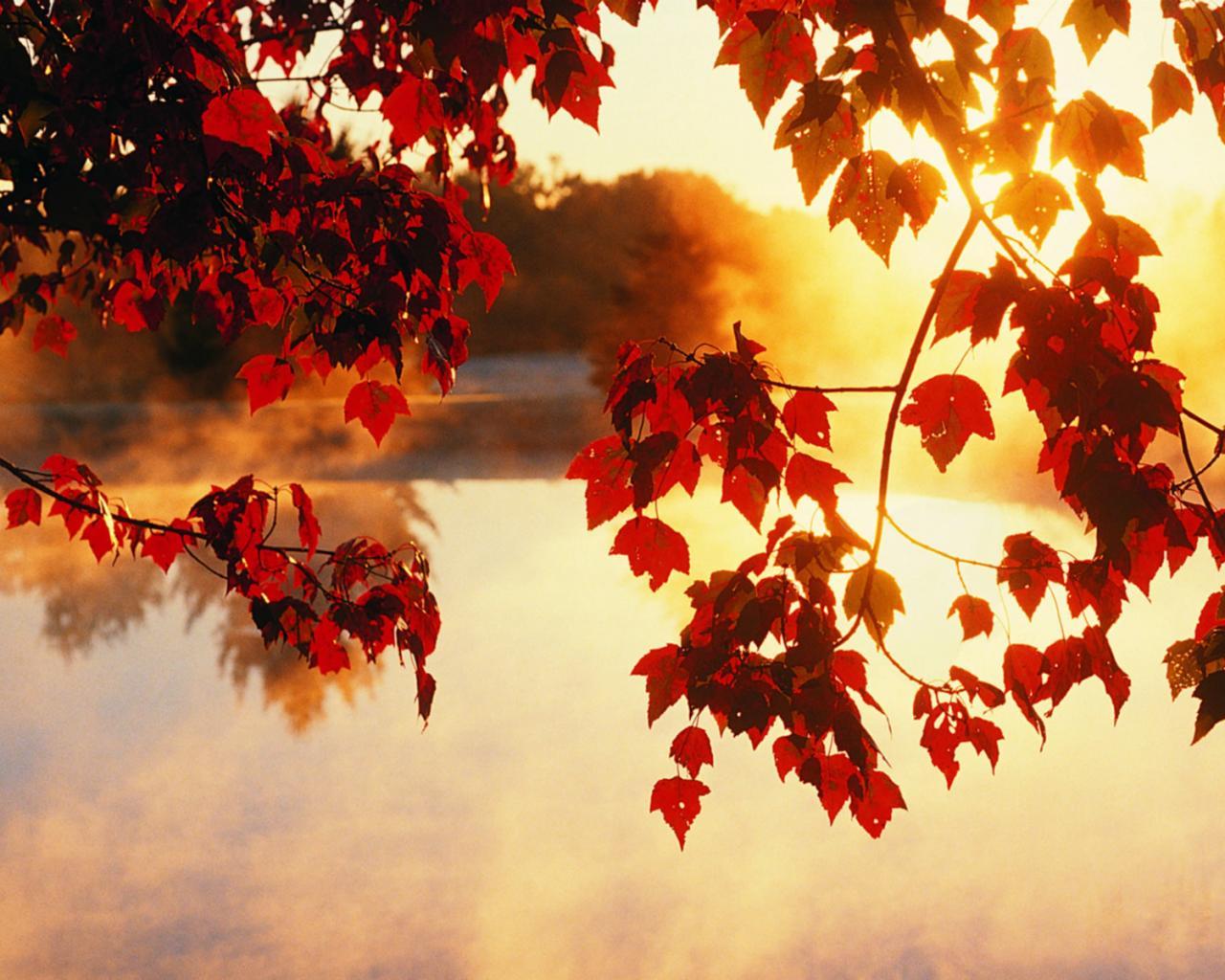 Nice Autumn Wallpaper Desktop HD Hd Wallpaper For Desktop