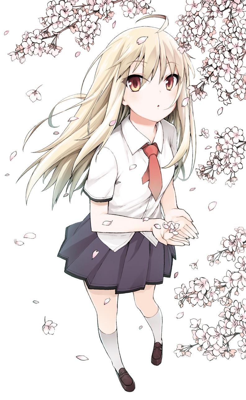 Pet Girl Of Sakurasou Phone, HD Wallpaper