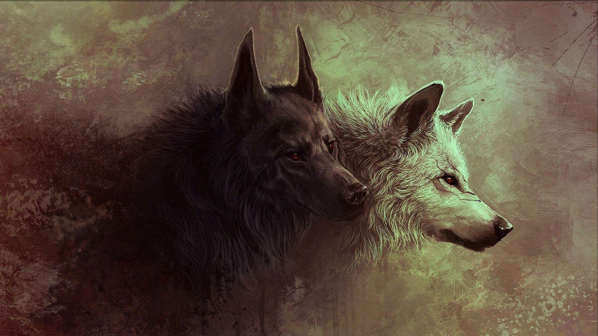 Wolf Background. Beautiful Wolf