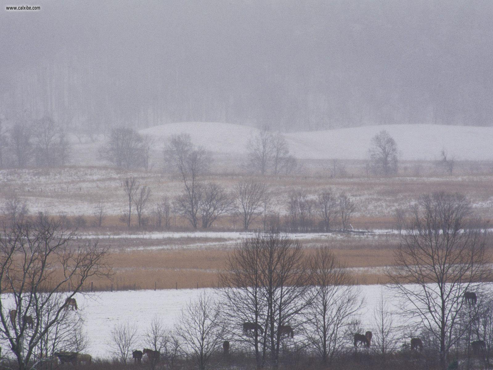 Nature: Cades Cove Great Smoky Mountains National Park