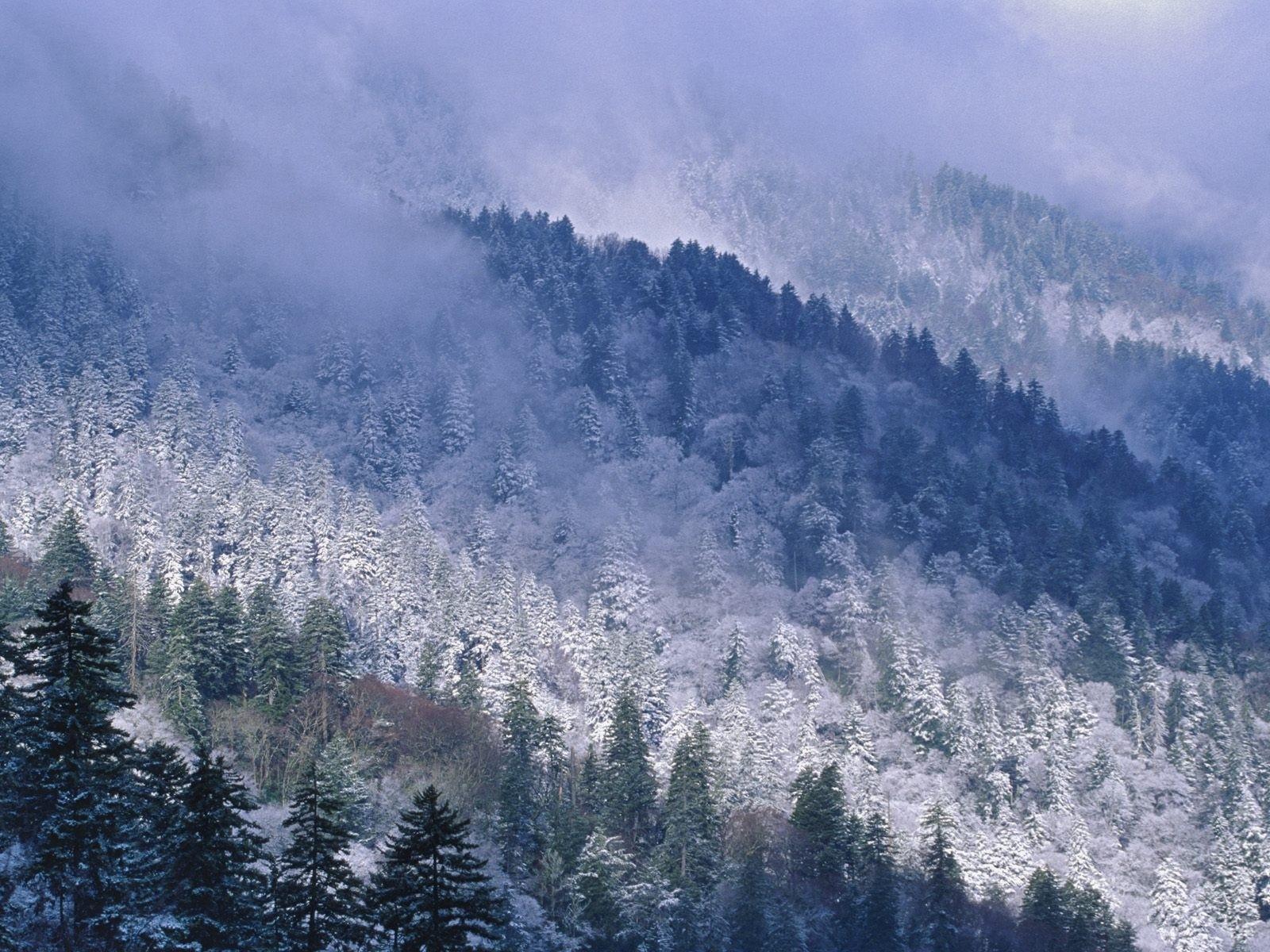 Mountain Wallpaper: Smoky Mountain Winter Wallpaper