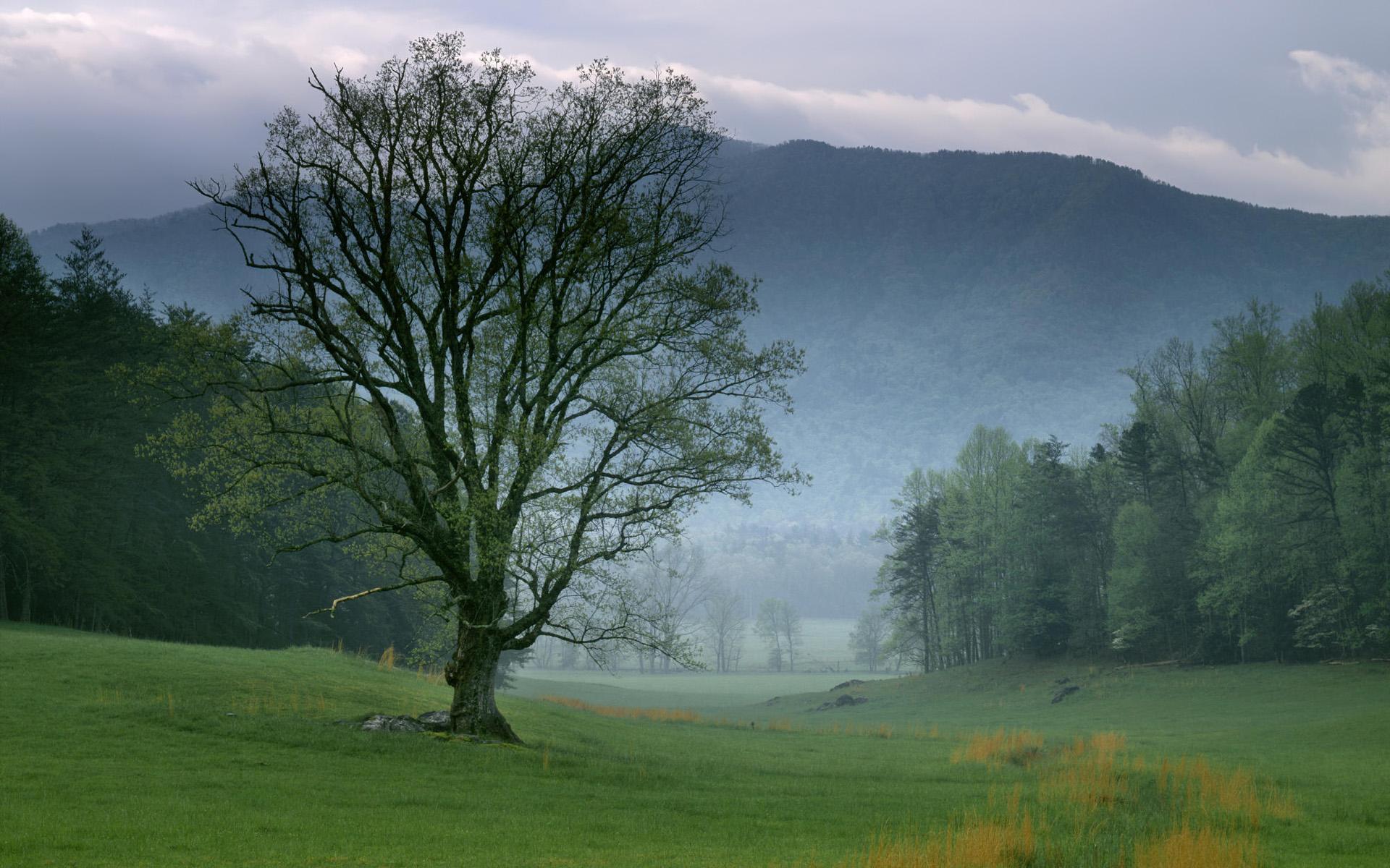 Free download cades cove great smoky mountains national park