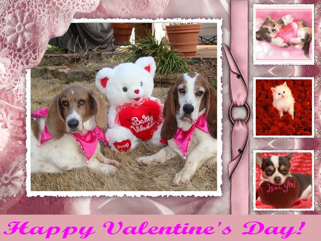 Animal Valentine Wallpaper