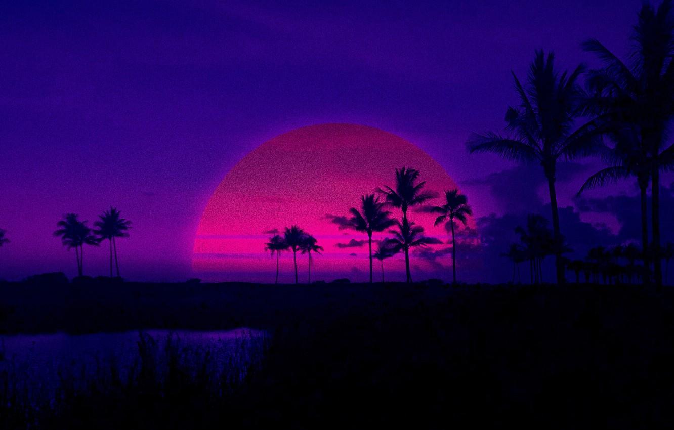 Wallpaper Sunset, The sun, The evening, Music, Style, Palm