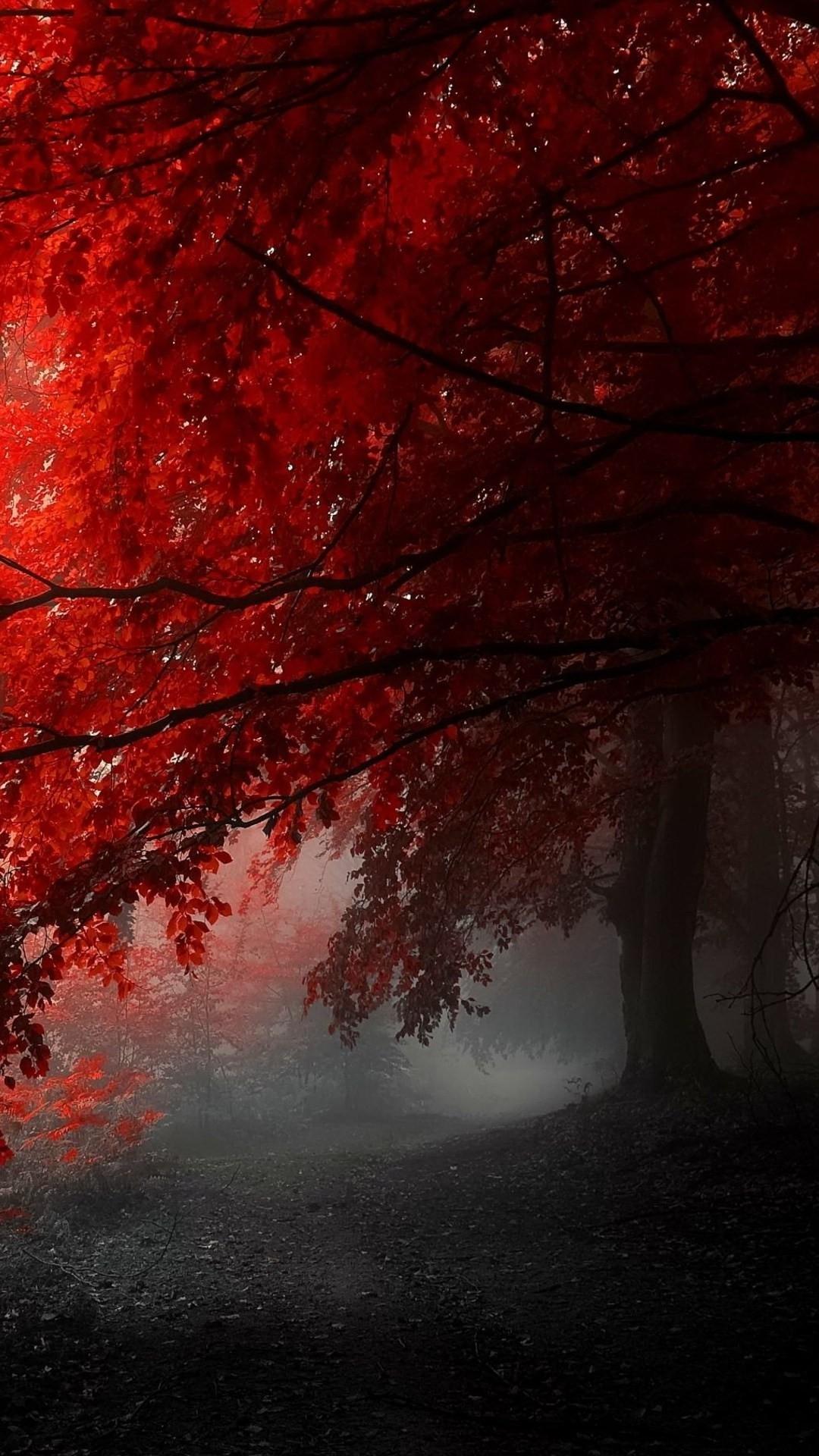 Red Nature Wallpaper Hd For Mobile