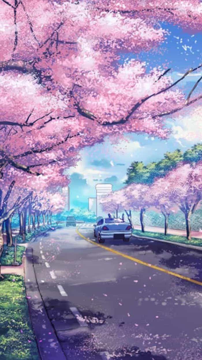 painting of a road, with pink blooming trees along, spring desktop wallpaper, phone wallpaper. Anime scenery wallpaper, iPhone wallpaper japan, Scenery wallpaper