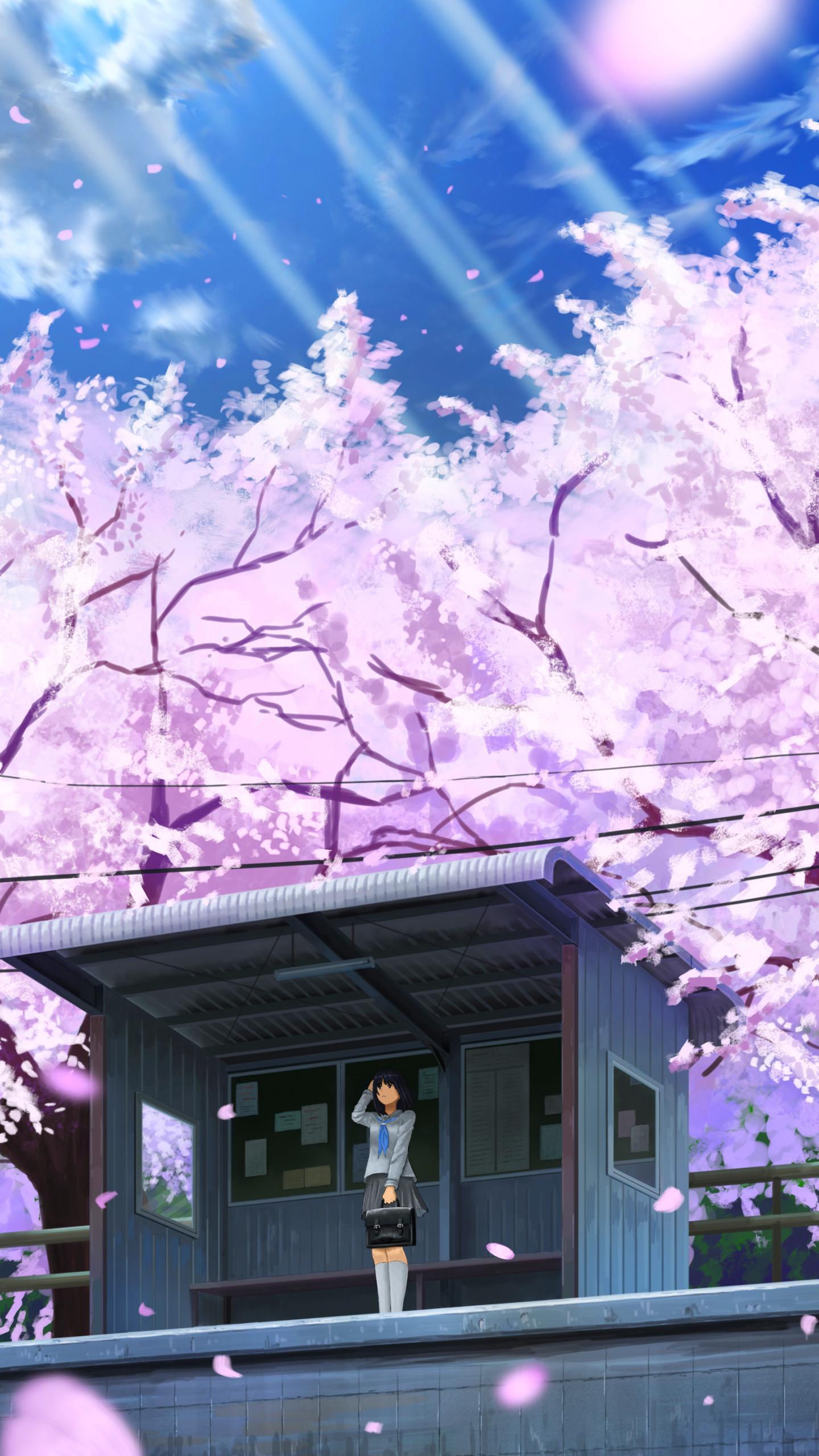 Download Enjoy the beauty of a cherry blossomfilled landscape with this  peaceful anime scenery Wallpaper  Wallpaperscom