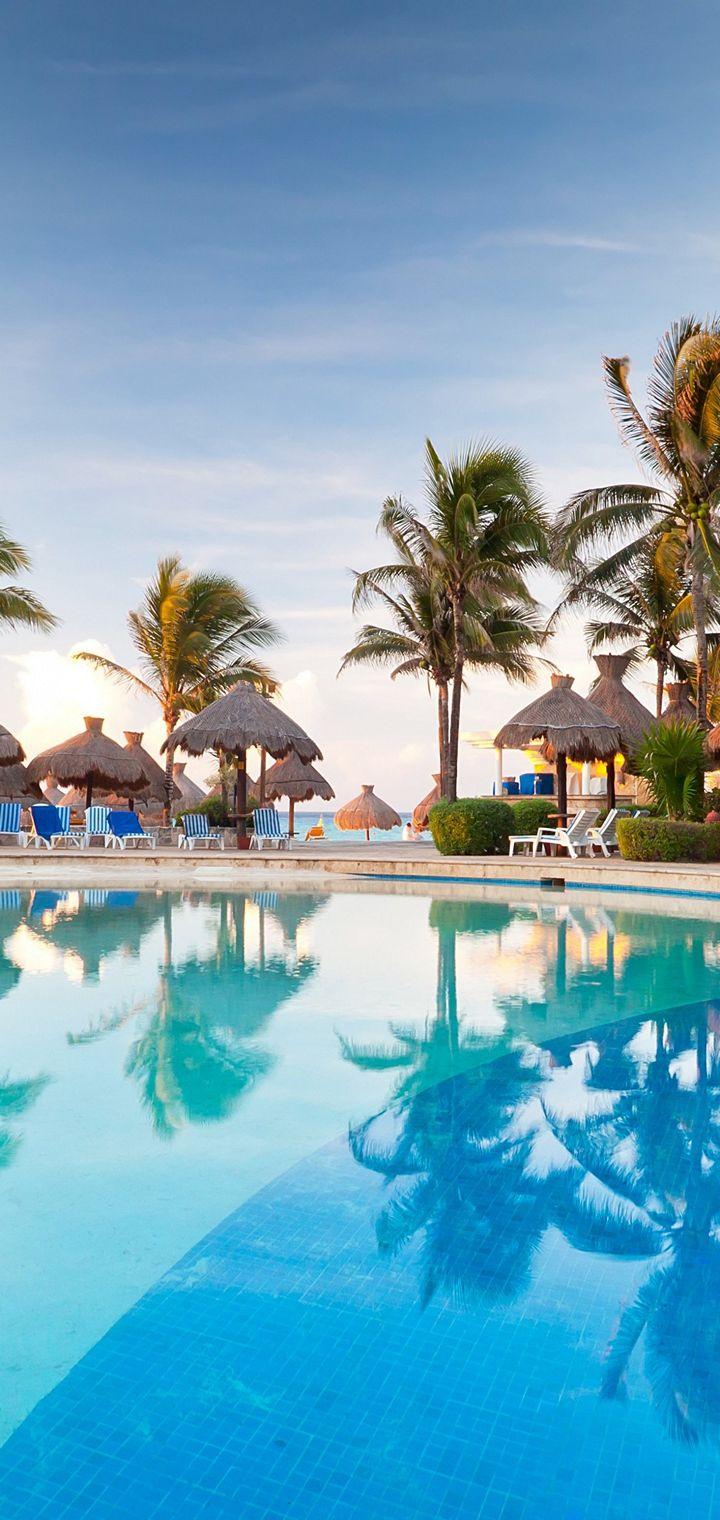 Palm Trees Resort Nature Tropical Pool Wallpaper Ultra