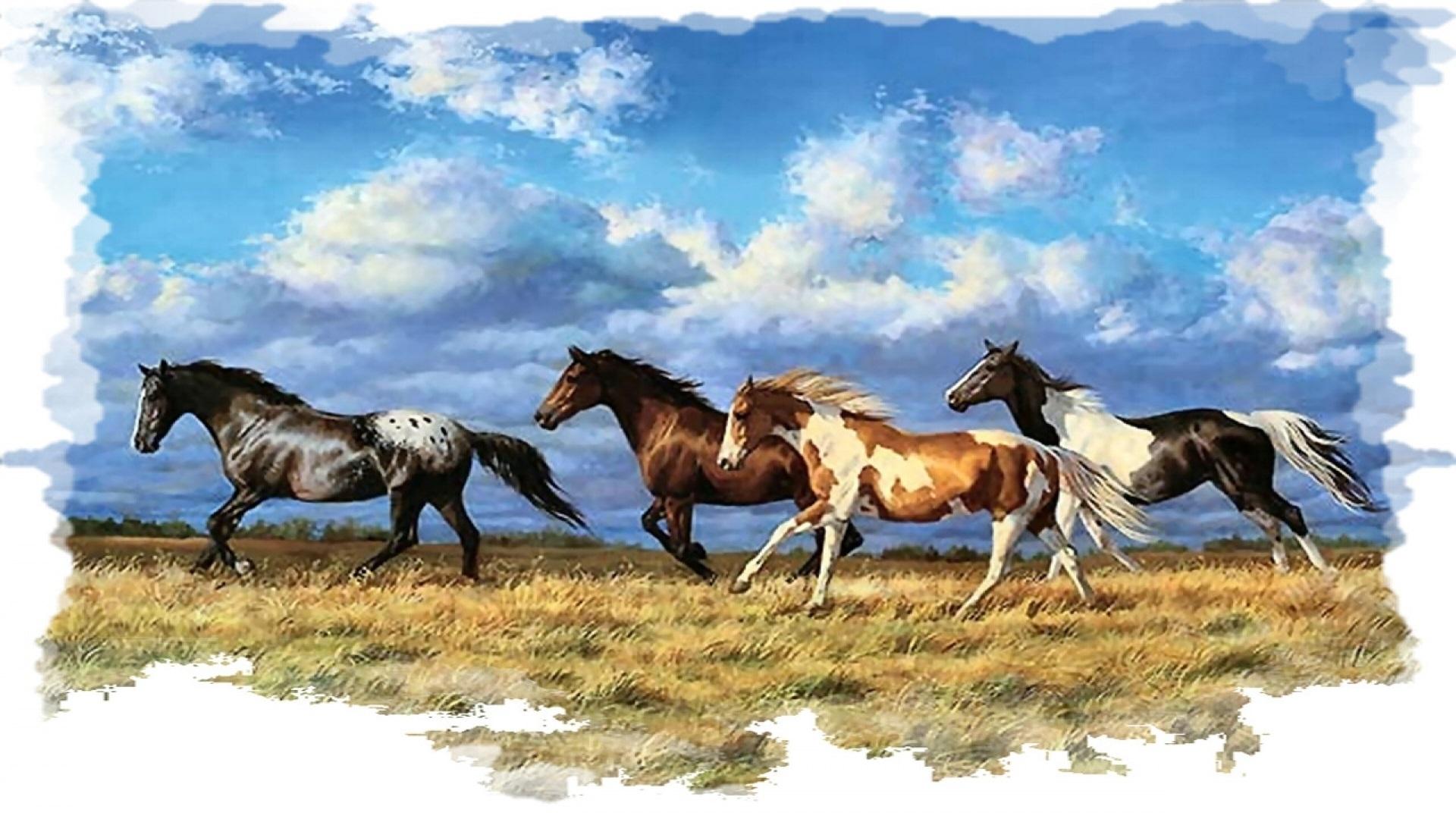 Seven Horse HD Wallpaper 34 Find HD Wallpaper For