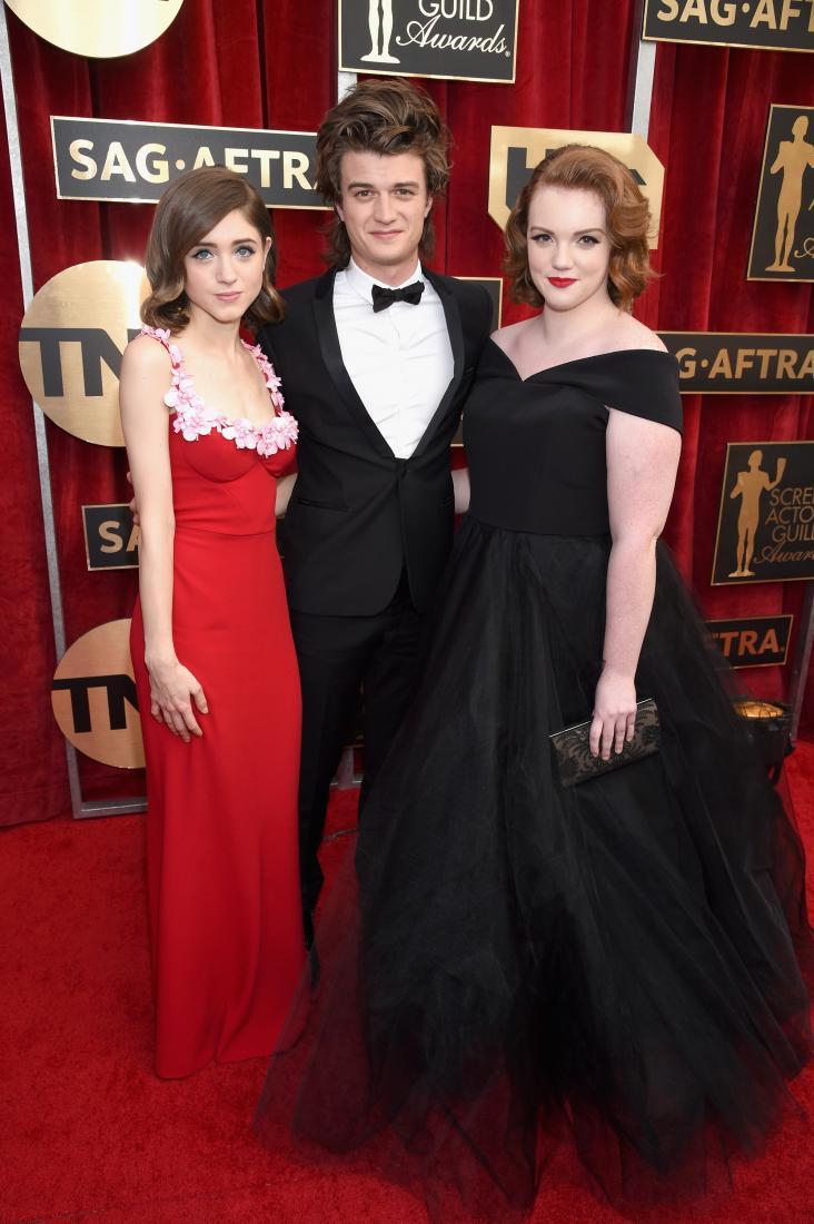 23rd Annual SAG Awards Red Carpet Arrivals. Screen Actors