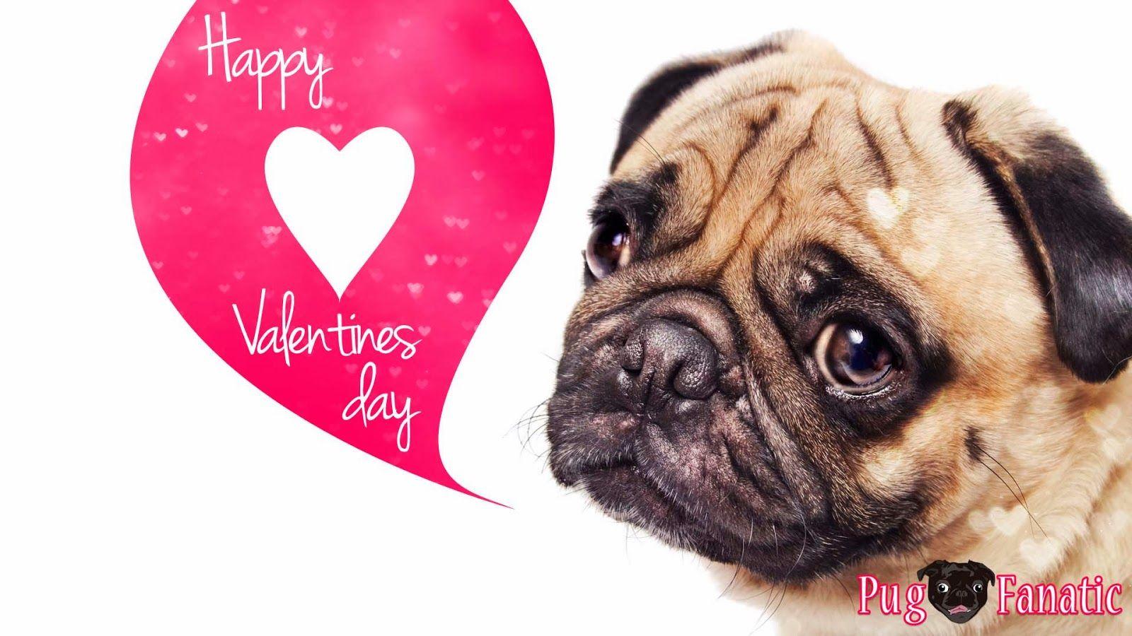 Blingee Valentine's Day Dogs Cute, HD Wallpaper
