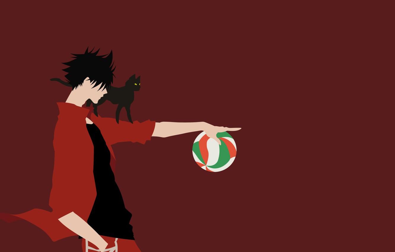 Wallpaper cat, the ball, guy, Volleyball, Haikyuu image for desktop, section сёнэн