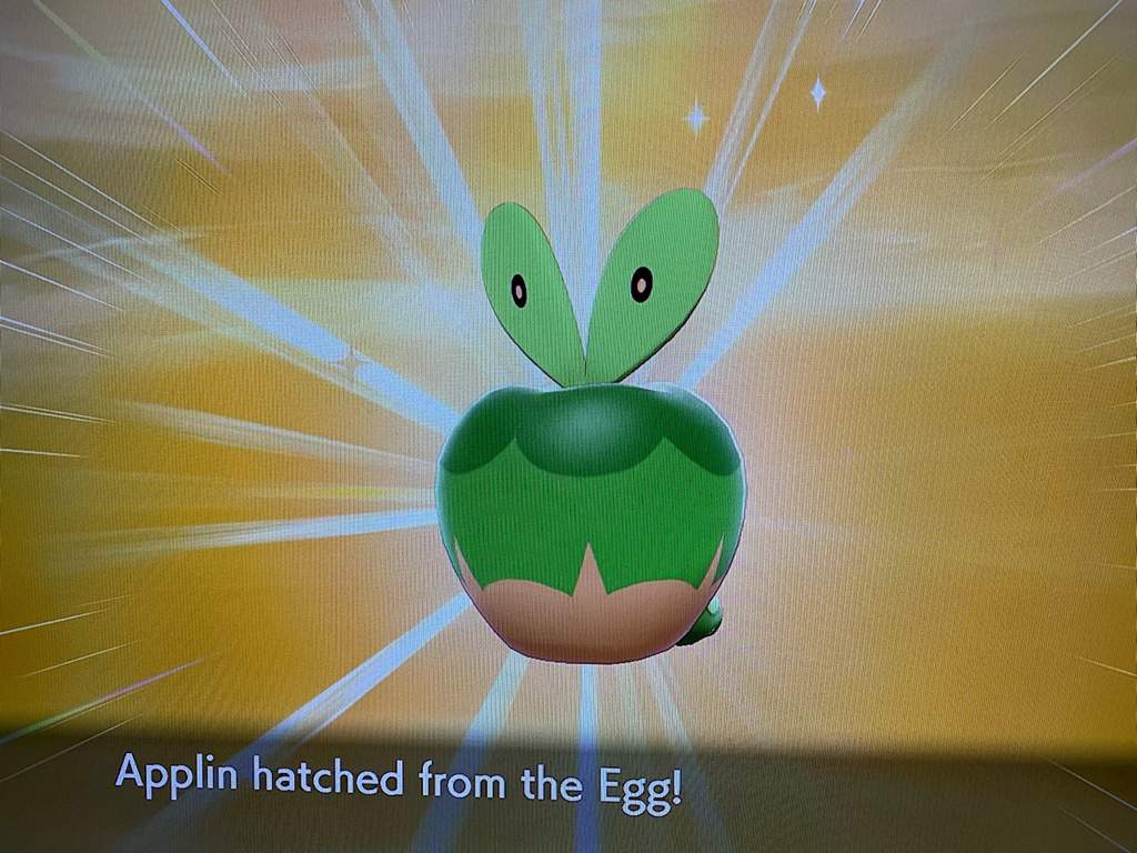 Just hatched this shiny Applin!!. Pokémon Sword and Shield