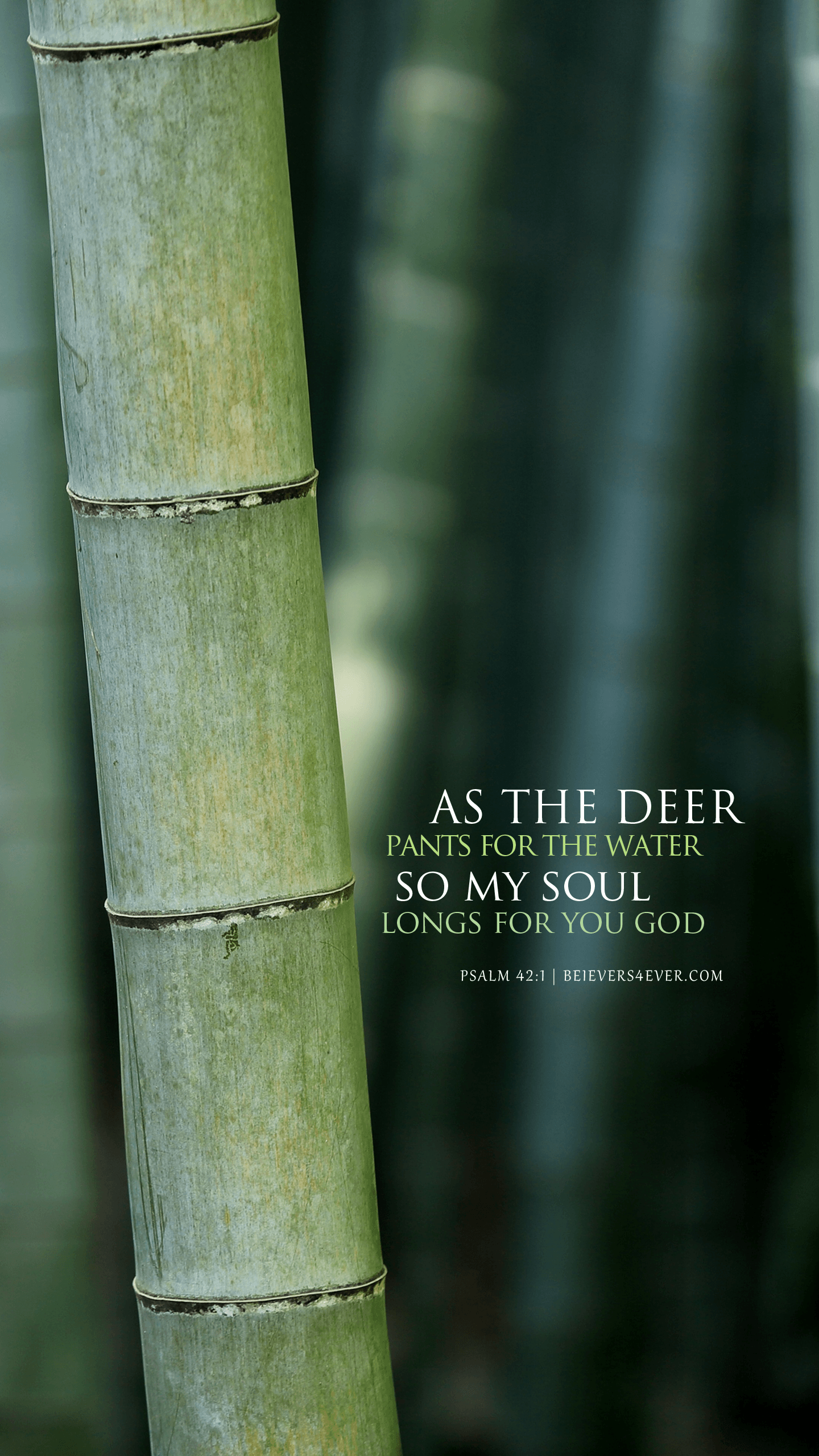 As the deer. Wallpaper bible, Scripture wallpaper, Lock