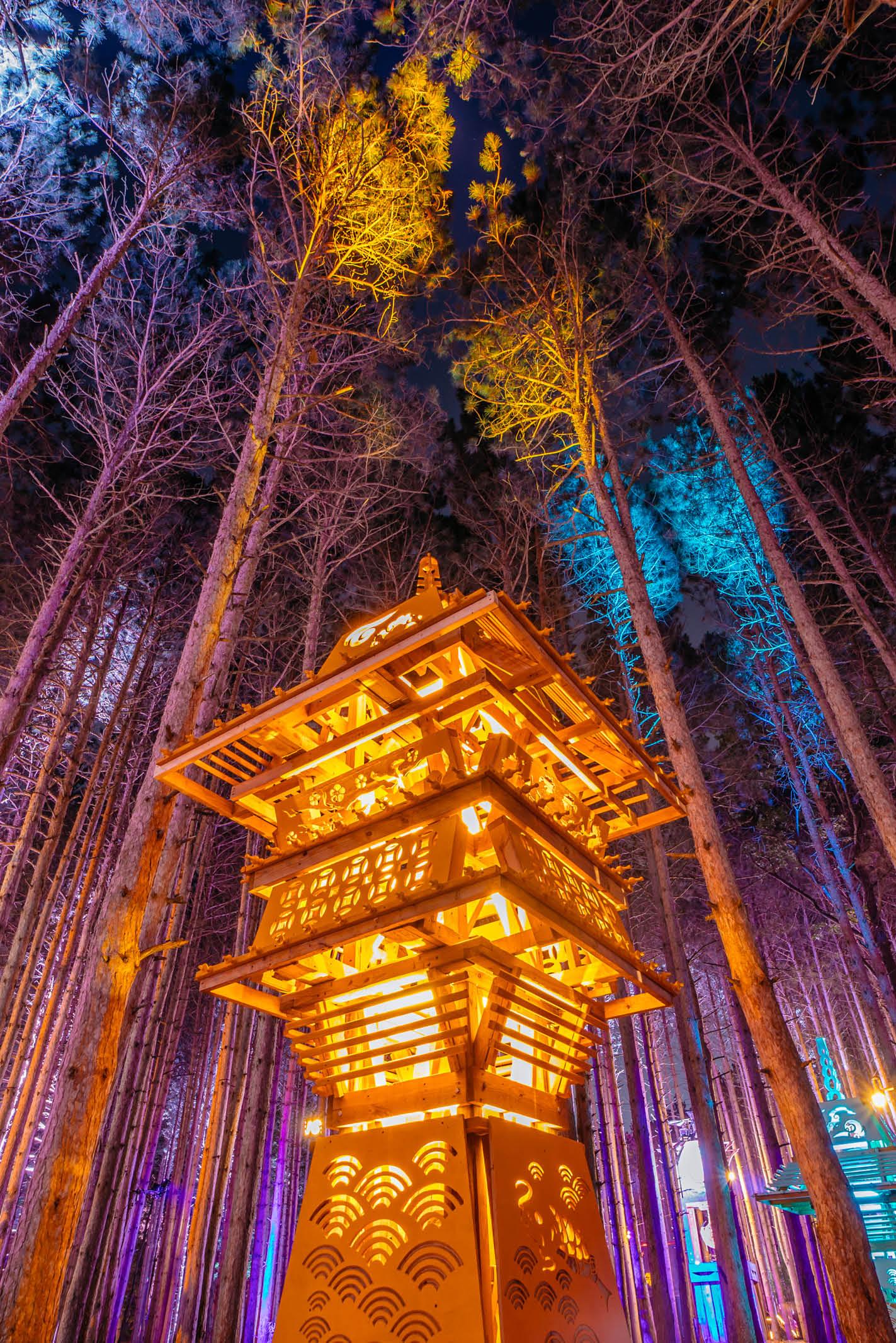 Electric Forest Wallpaper
