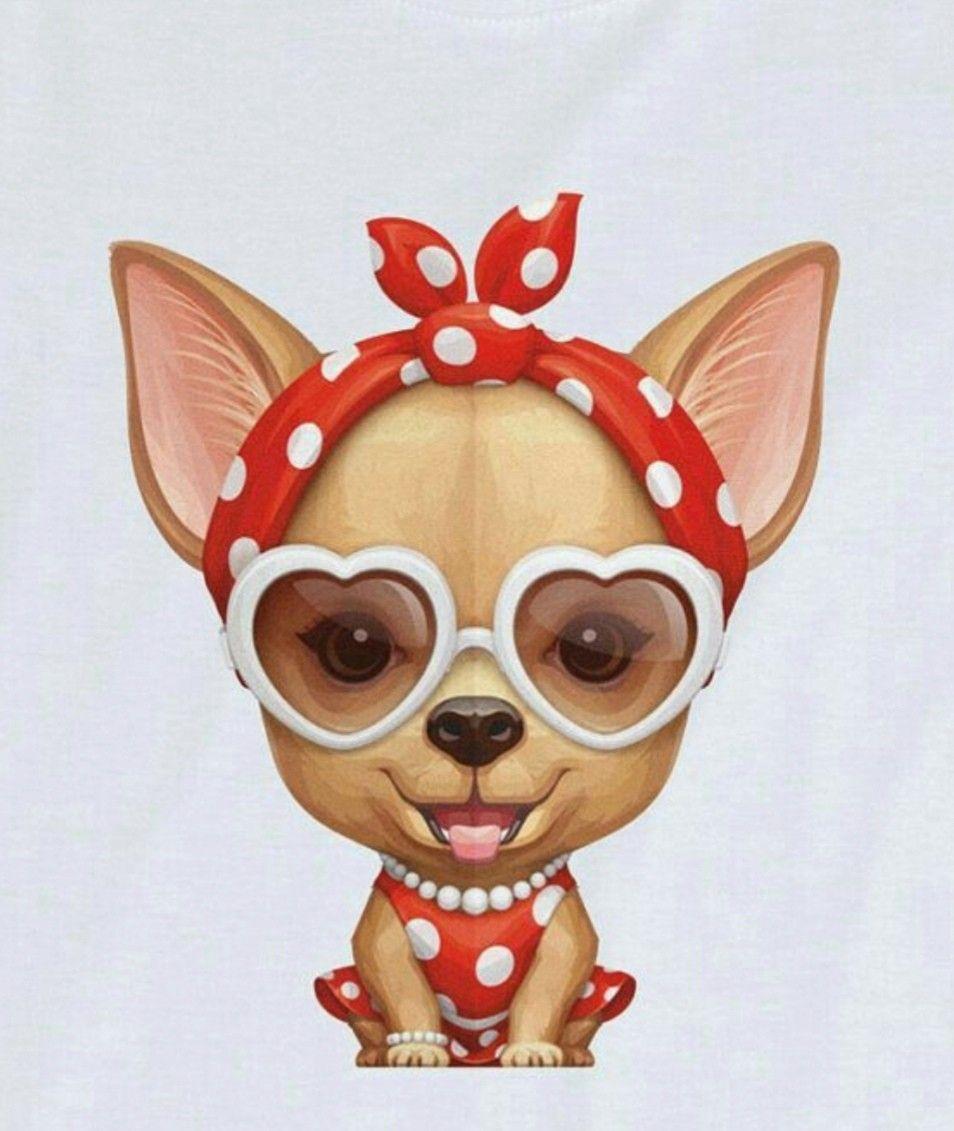 Pomchi Dogs, Chihuahuas, Chiwawa, Sassy Wallpaper