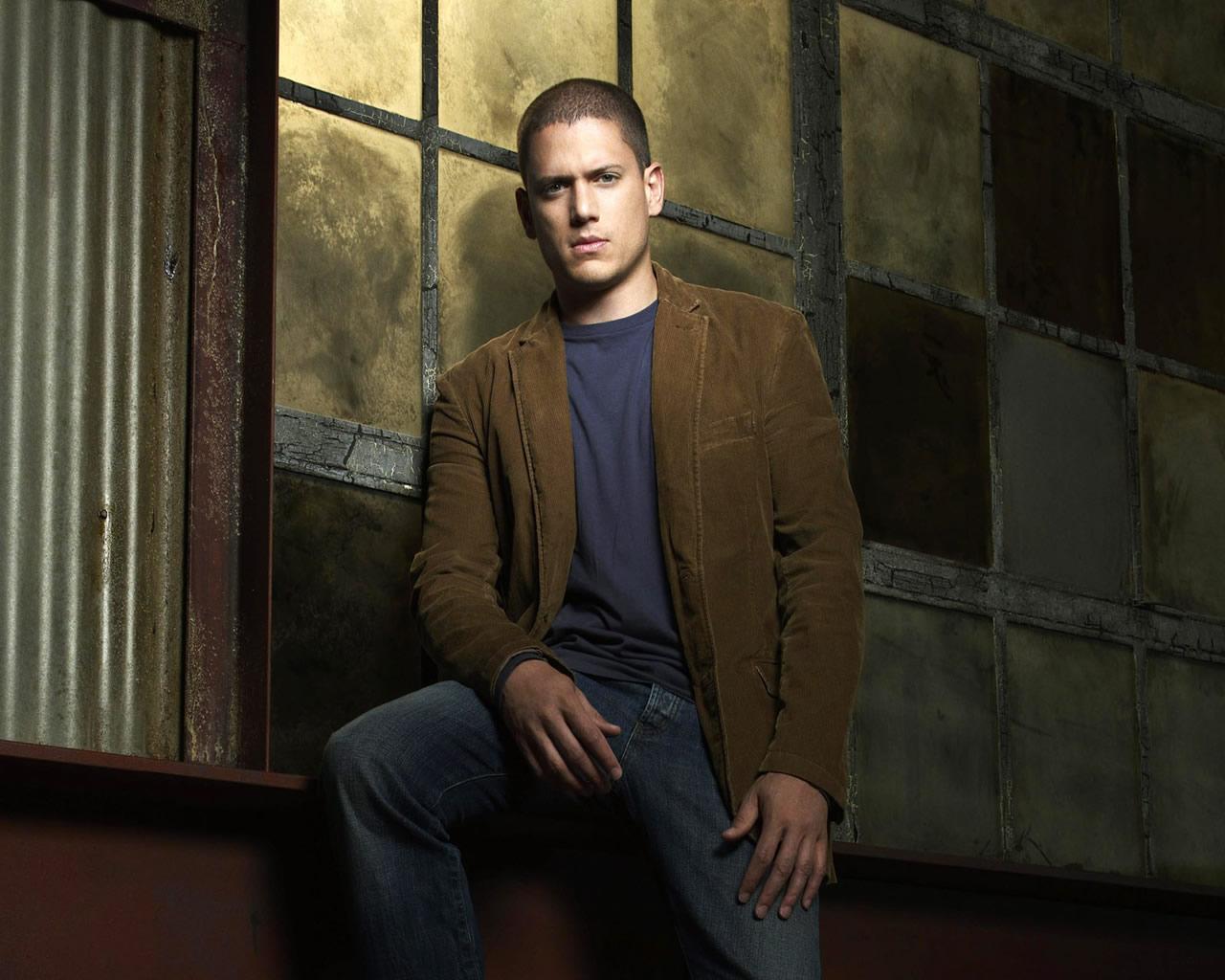 prison break season 1 year