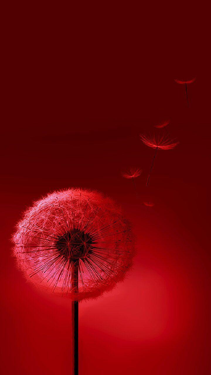 720x1280. Mobile Wallpaper. Phone Background ❤