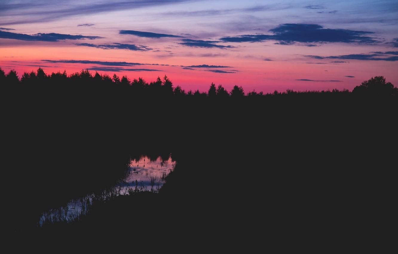 Wallpaper sky, trees, sunset, clouds, Poland, magenta