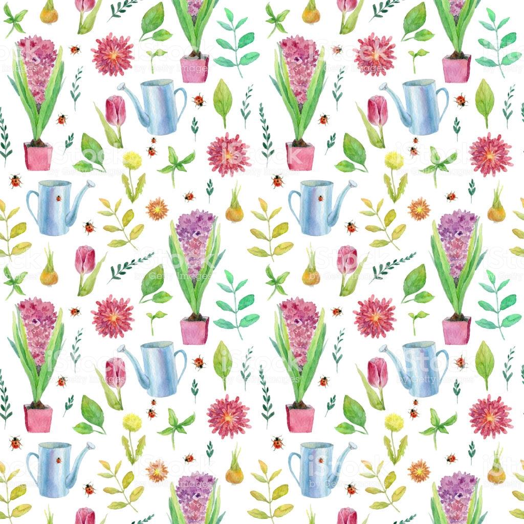 Watering Can Wallpapers - Wallpaper Cave
