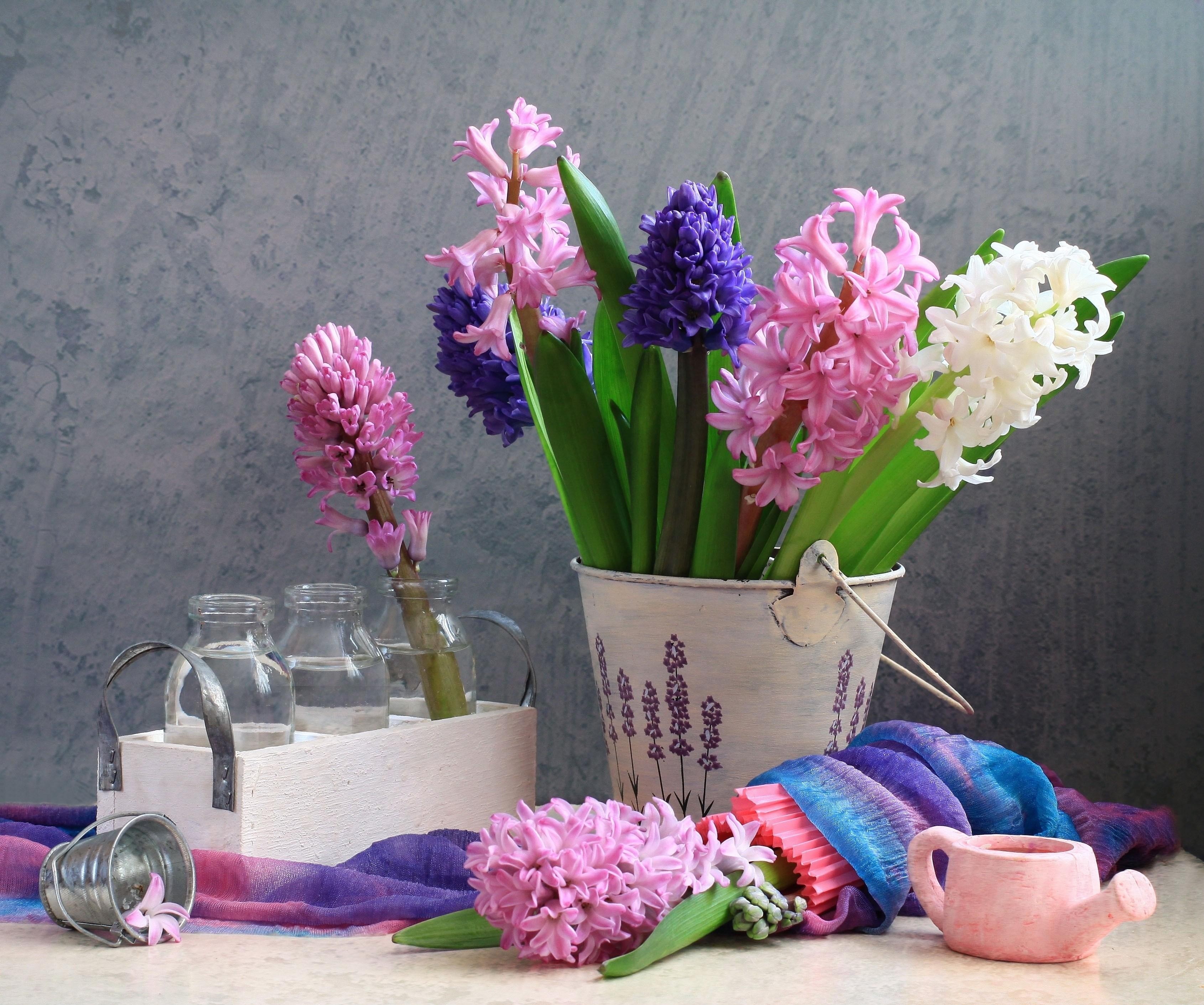 Hyacinths, Flower, Spring, Bucket, Bottle, Watering can