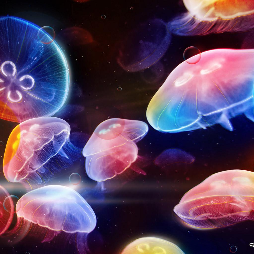 Colorful Jellyfish Wallpaper
