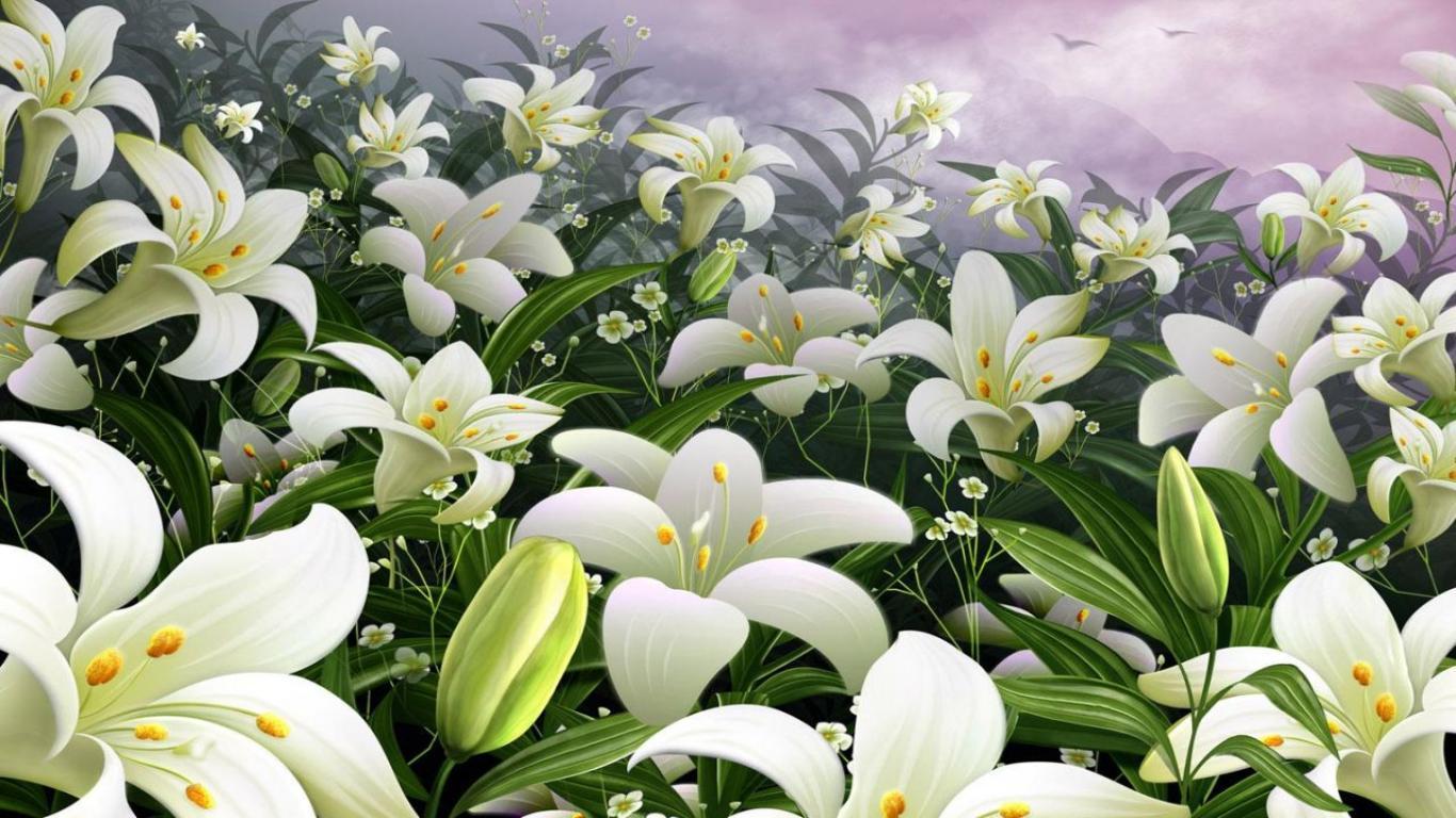 Free download Easter Lily Wallpaper for PC [1366x768]