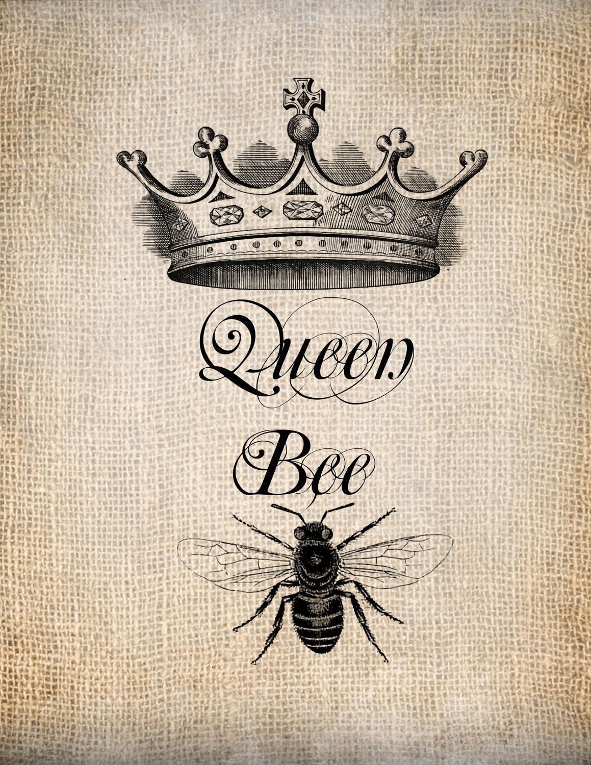Queenbee Wallpaper. Queenbee