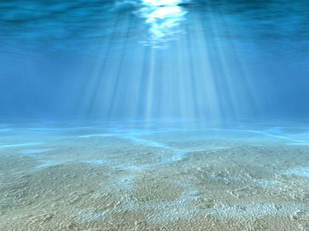Underwater Wallpaper Free Underwater Background