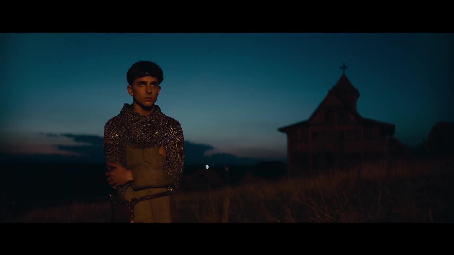 Picture Of Timothee Chalamet In The King Chalamet