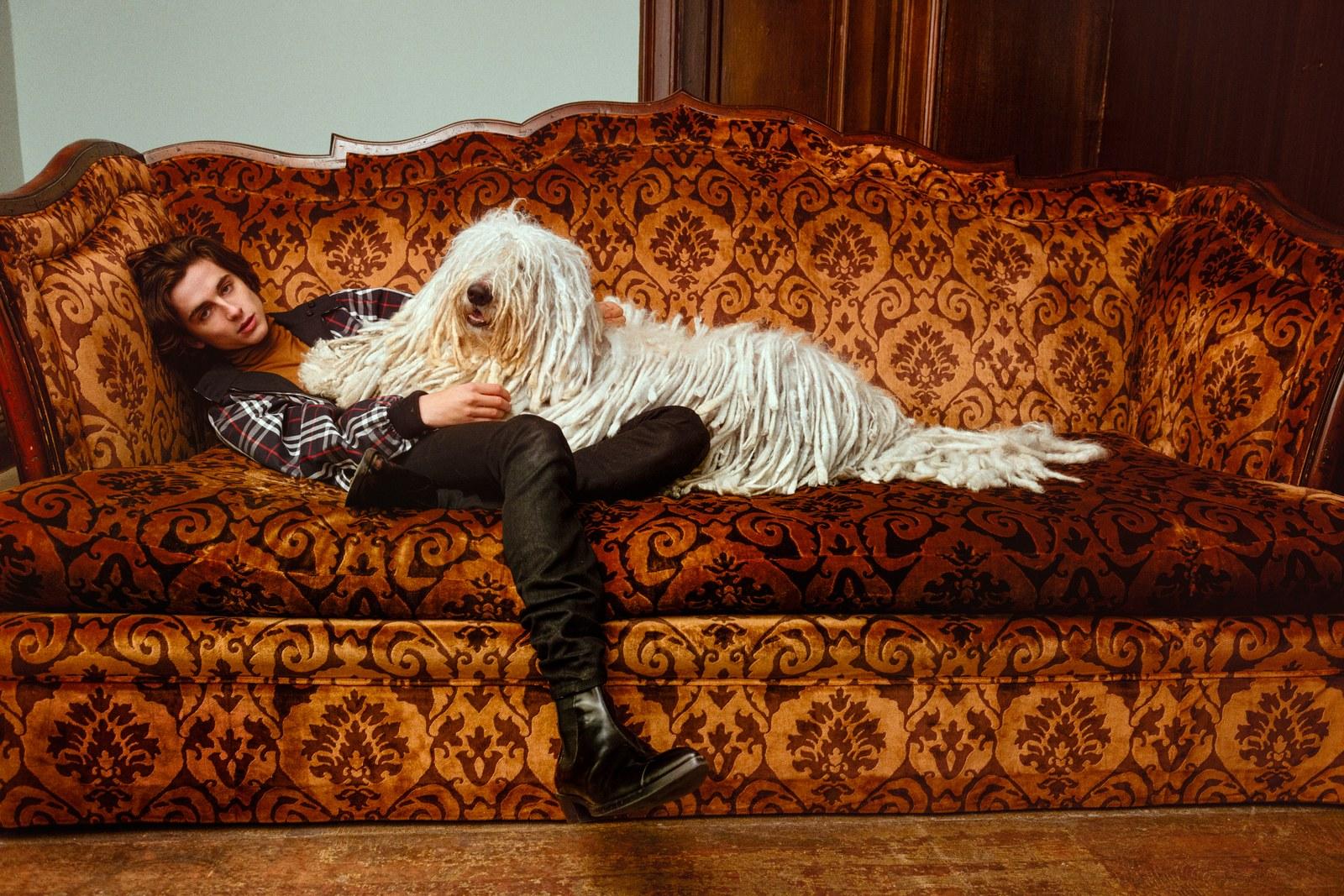 Timothée Chalamet Has Arrived Right on Time