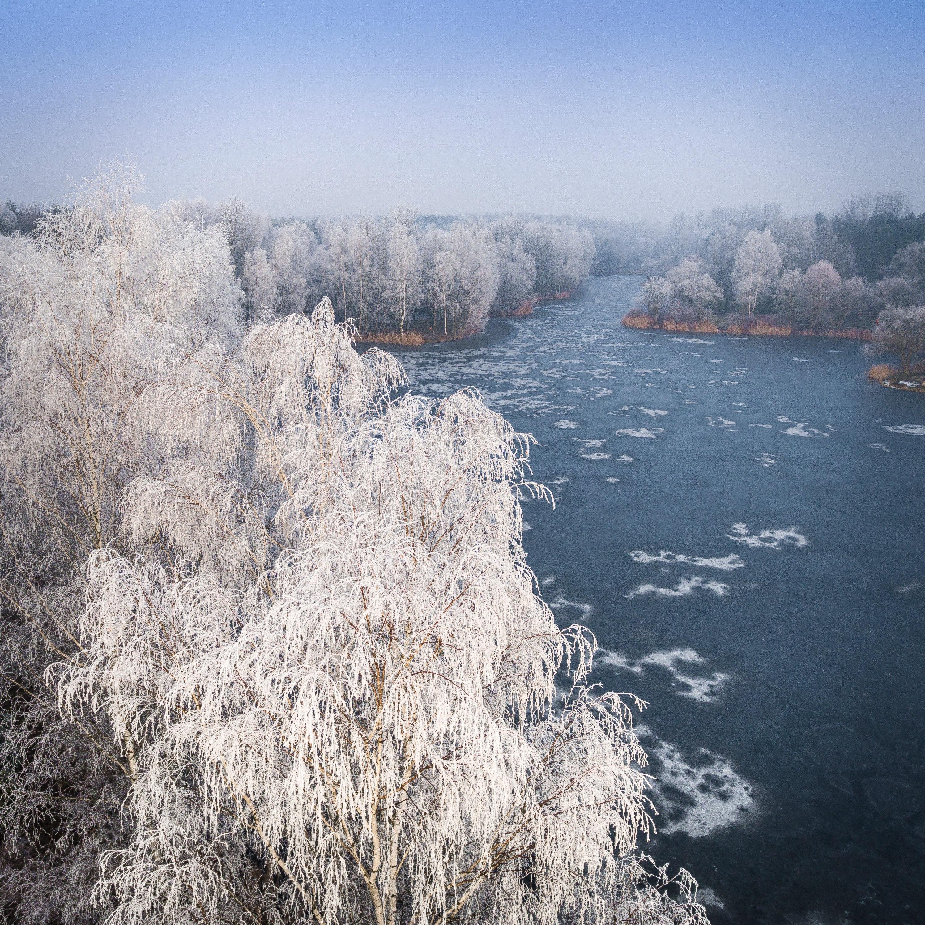 Frosty Morning Picture. Download Free Image
