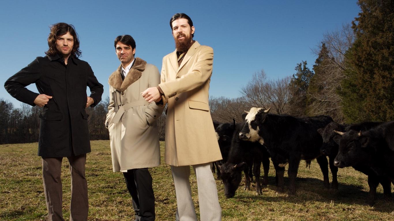 Download wallpaper 1366x768 the avett brothers, cows, coat