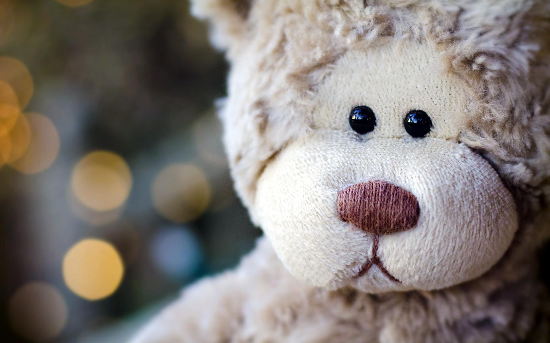Animals bears teddy toys mood photography faces cute