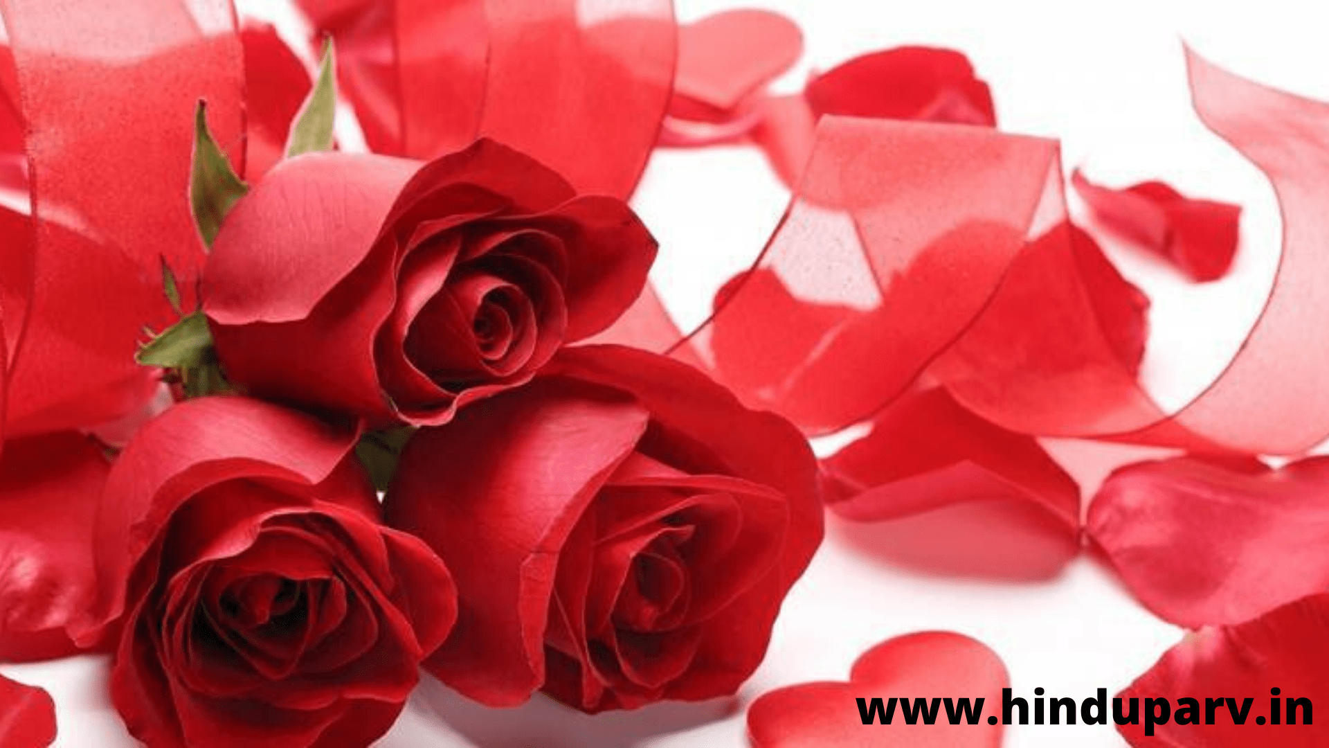 Happy Valentine's Day Best Image. GIF. Status Videos 2020