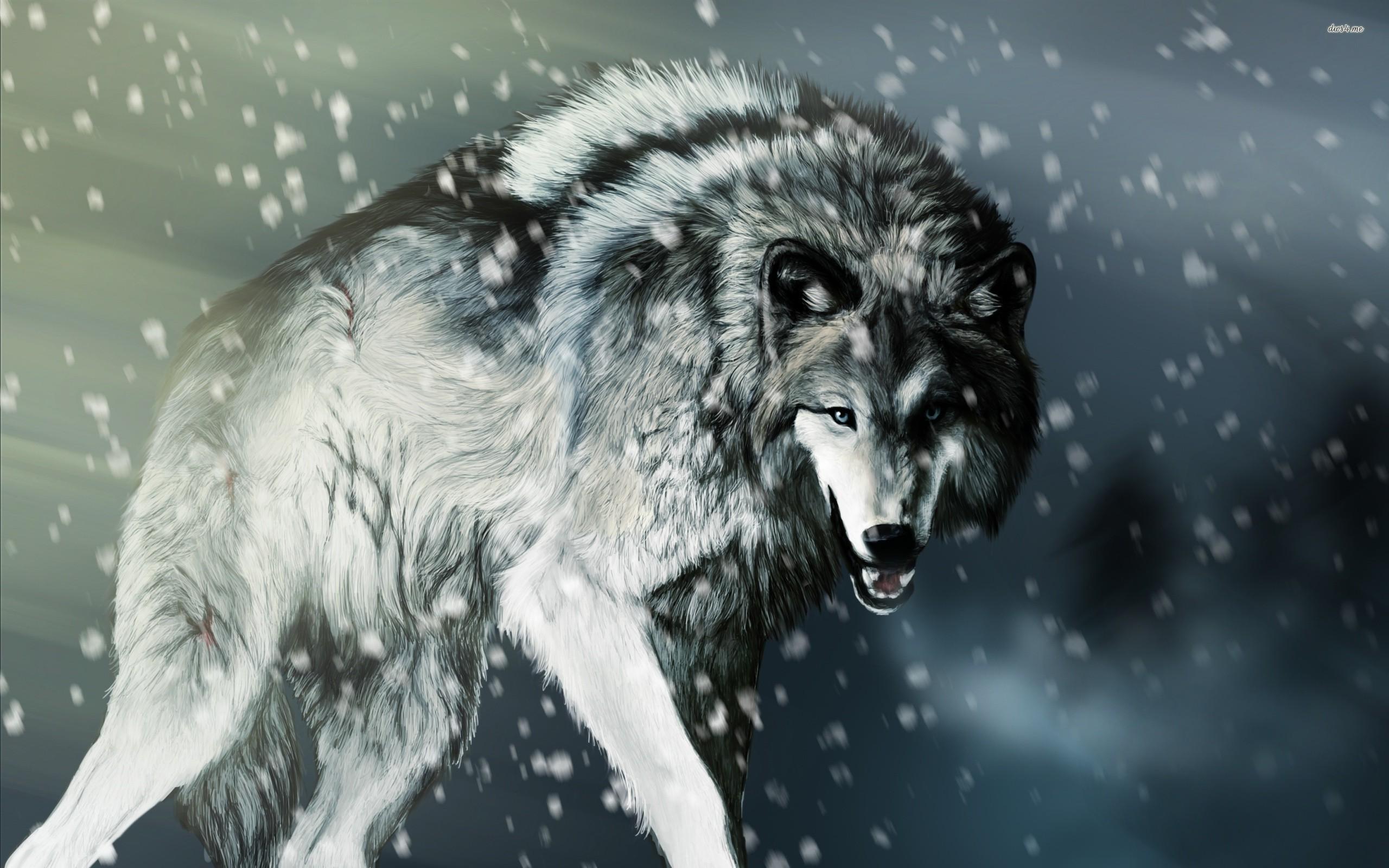 Angry wolf wallpaper wallpaper