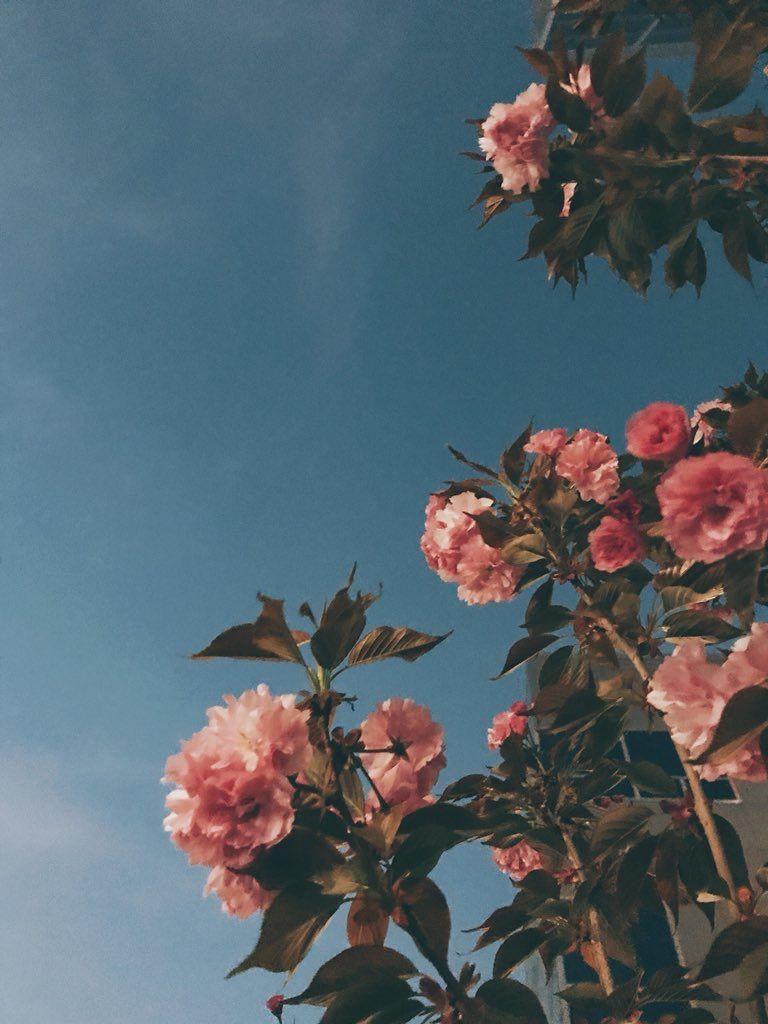 wp611 aesthetic green floral HD wallpaper4k HD wallpaper