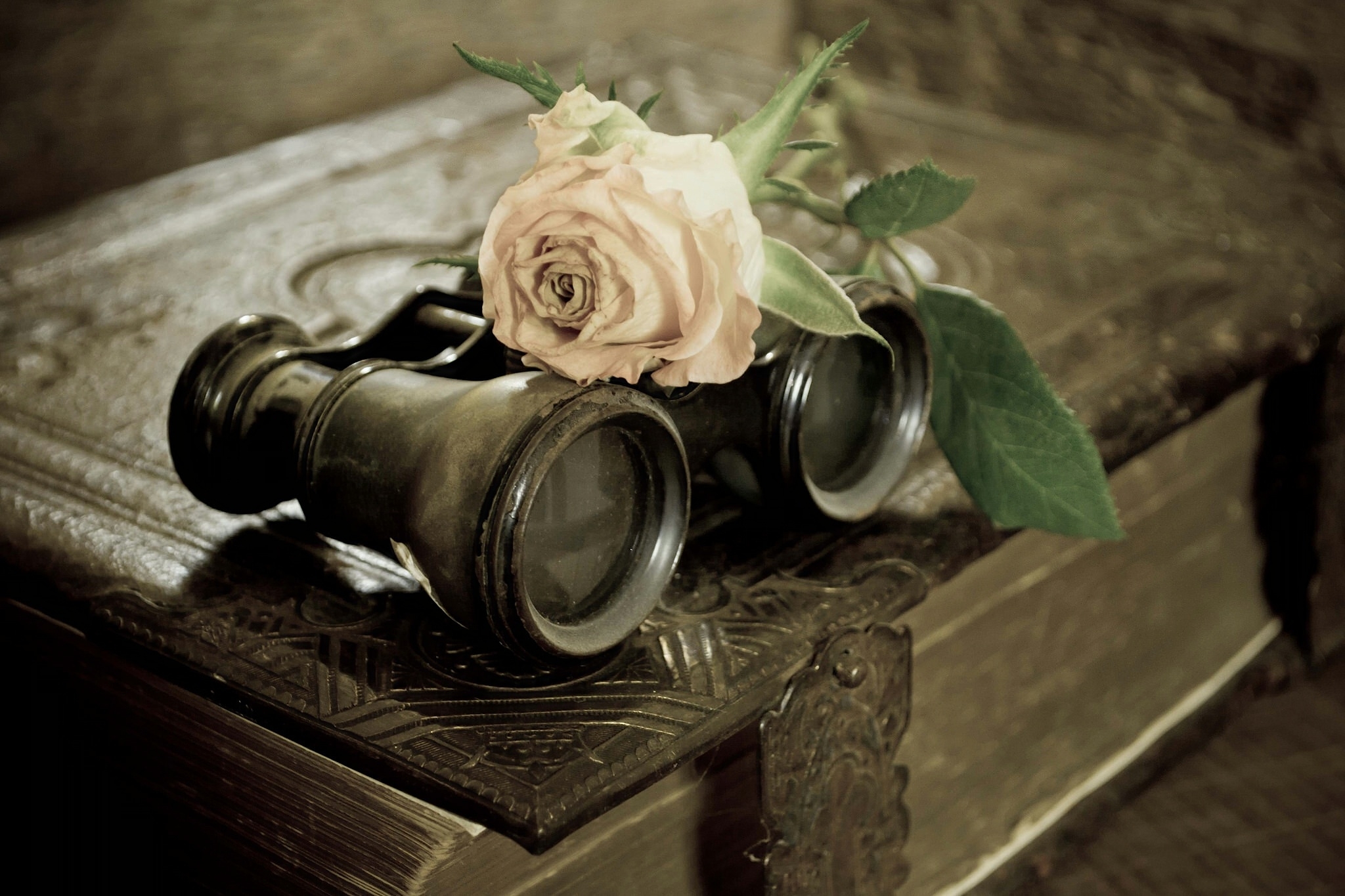 binoculars, blossom, Book, vintage, rose wallpaper