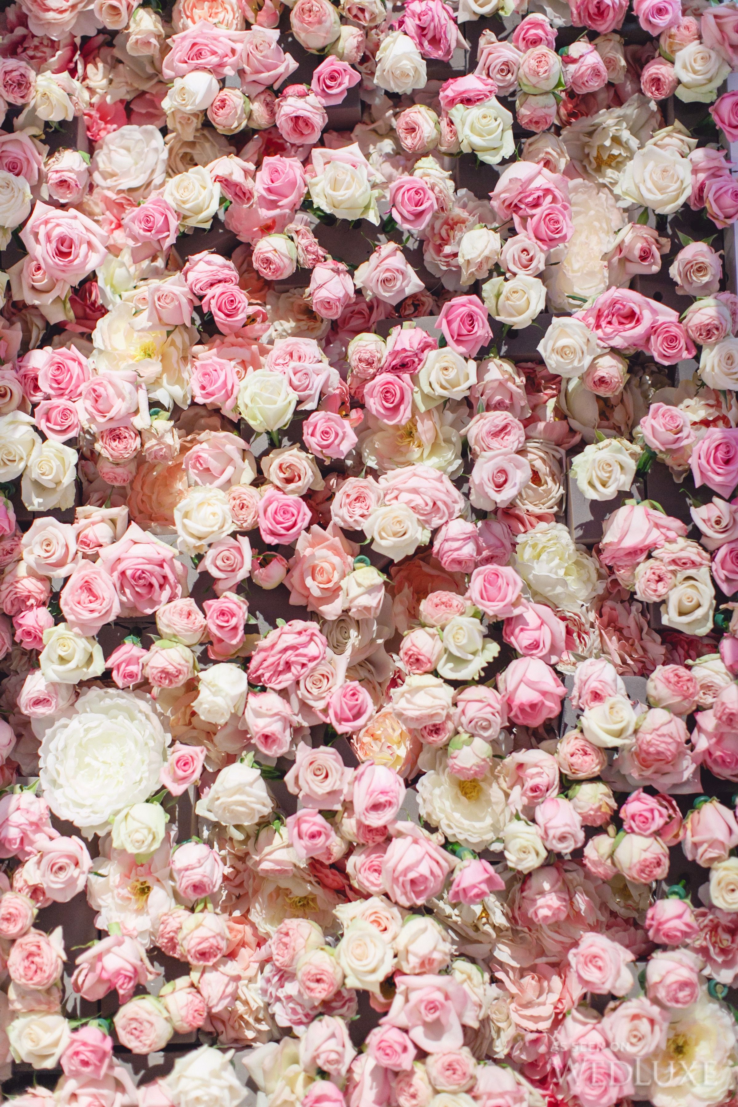 Vintage Rose Wallpapers - Wallpaper Cave