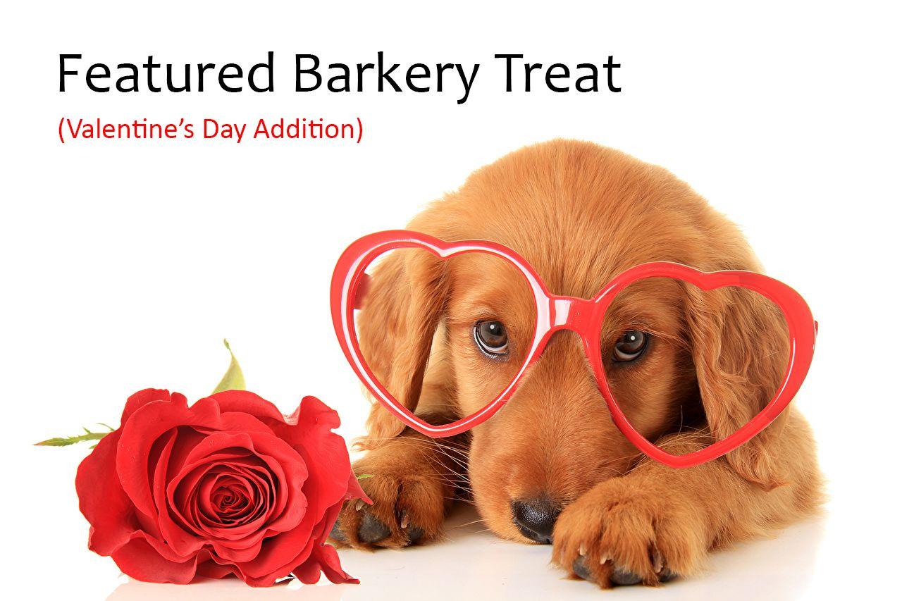 Even dogs deserve special treats for Valentine's Day