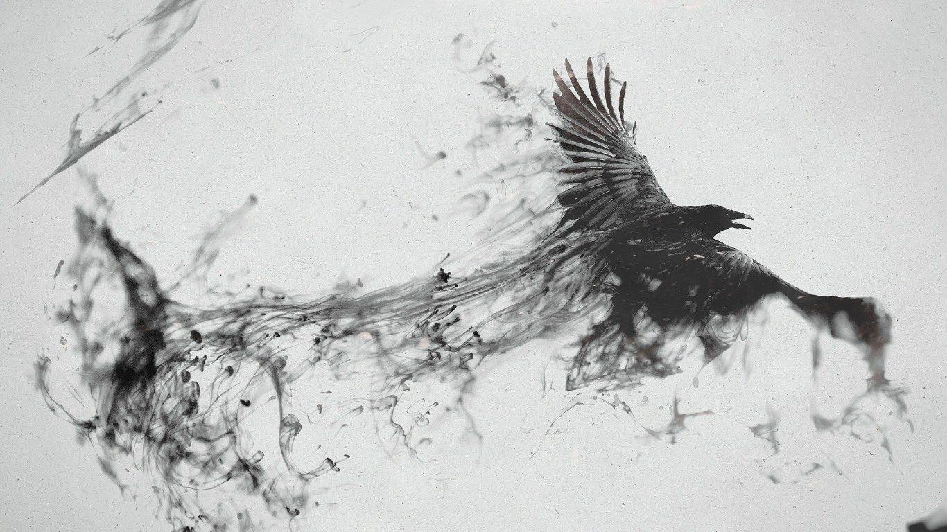 Raven Bird Flying Minimalism Smoke Art Abstract Black Gray