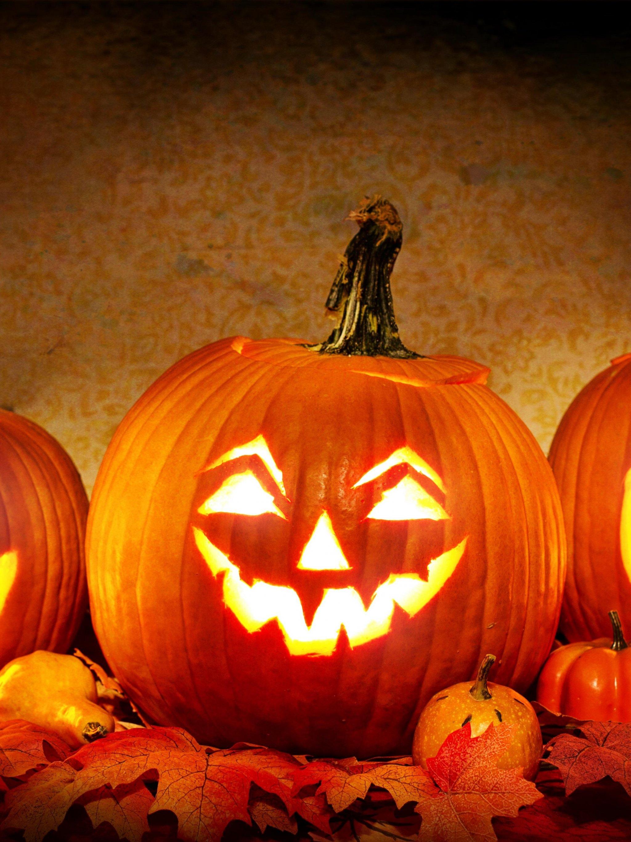 Jack o' Lantern Halloween Pumpkin Wallpaper