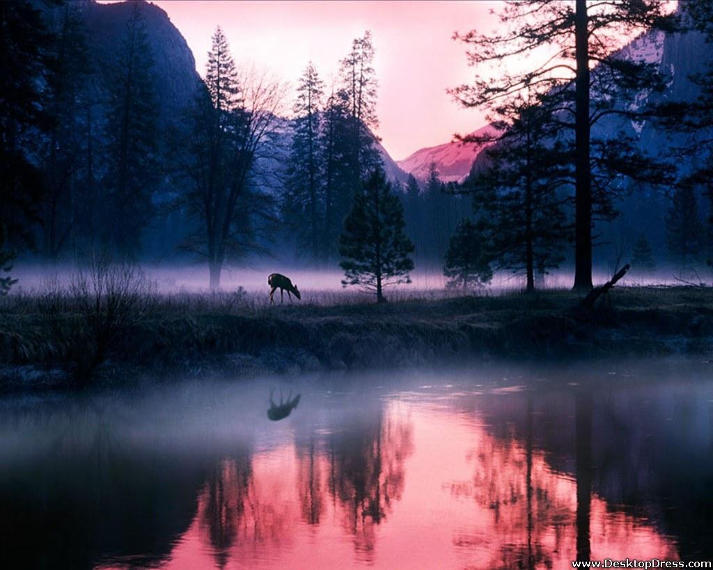 Mystical Waters, Yosemite National Park .desktopdress.com
