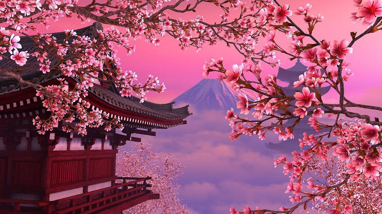 japanese art wallpaper cherry blossom